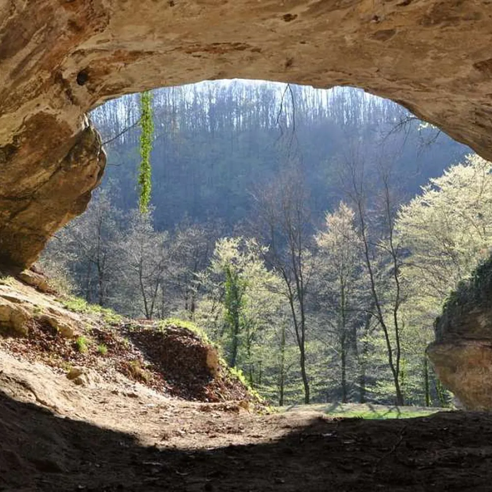höhle